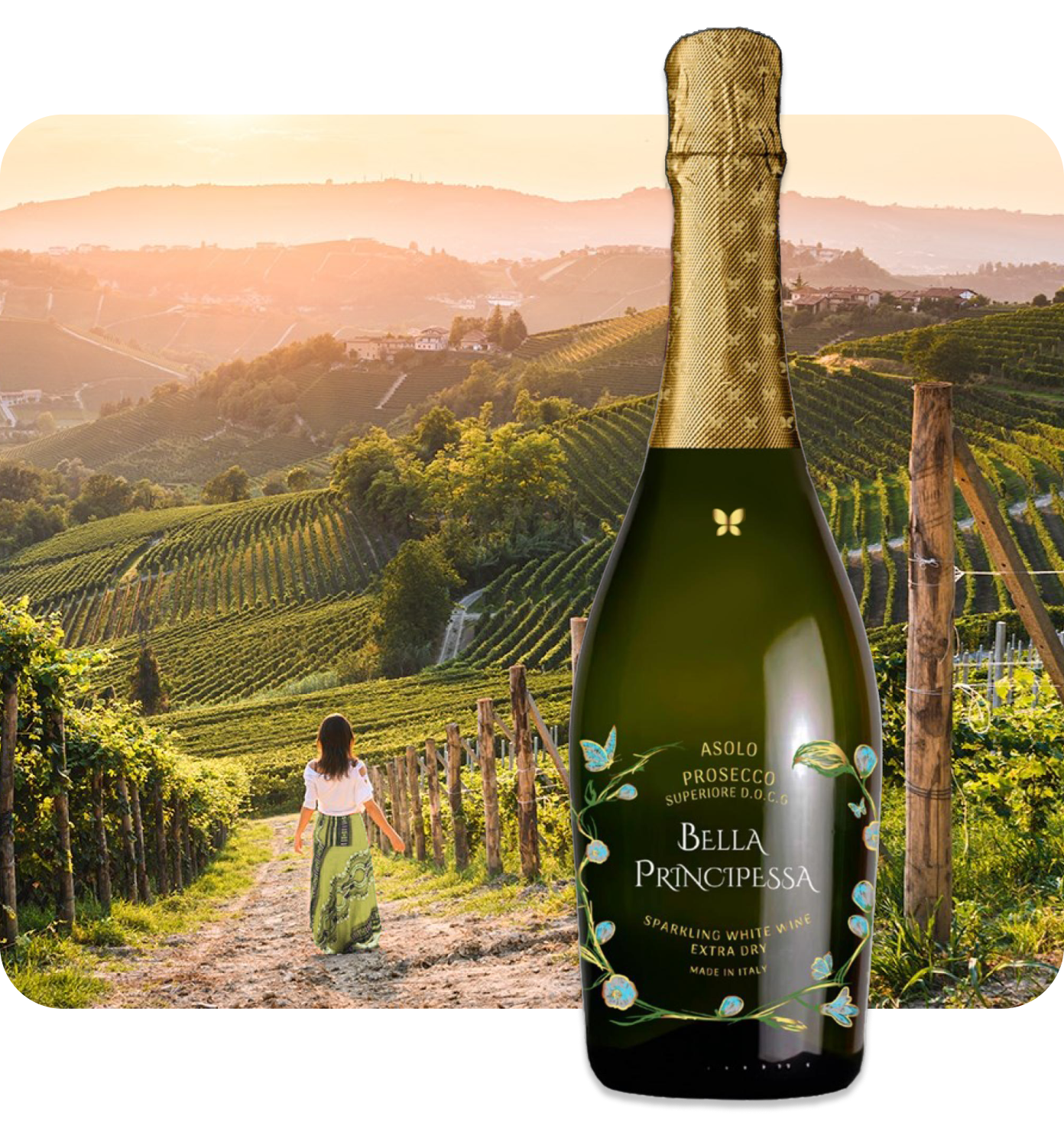 Sustainable Prosecco Grapes in a Beautiful Italian Vineyard | Prosecco.com