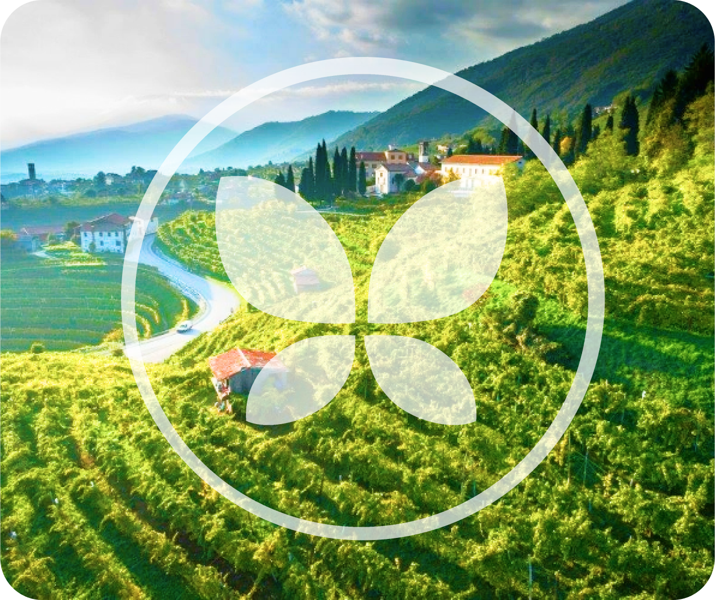 Логотип Bella Principessa Prosecco с бабочкой в ​​центре.