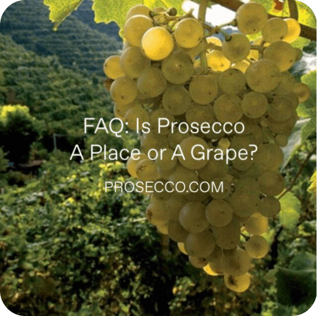 Is Prosecco a Place or a Grape? Decoding Italy's Famous Wine