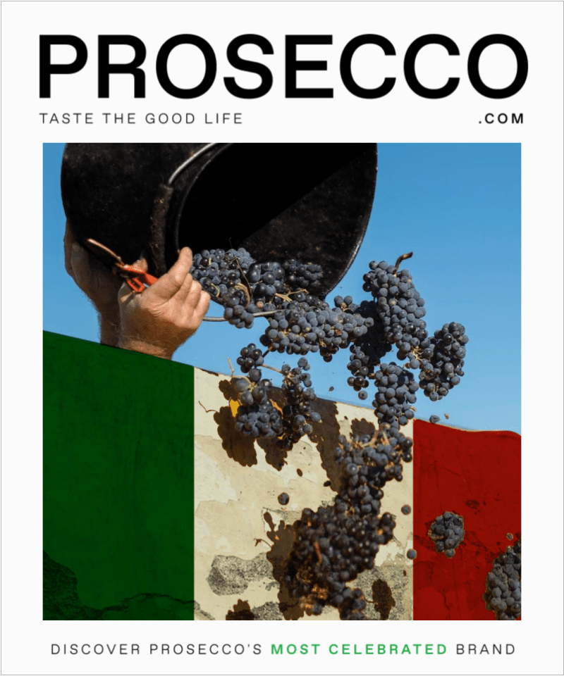 Hand-picked Glera grapes in a bucket next to a wall painted with Italian flag colors.